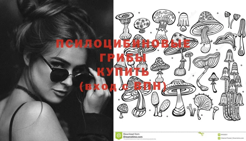 мега маркетплейс  закладка  Семикаракорск  Псилоцибиновые грибы Psilocybe 